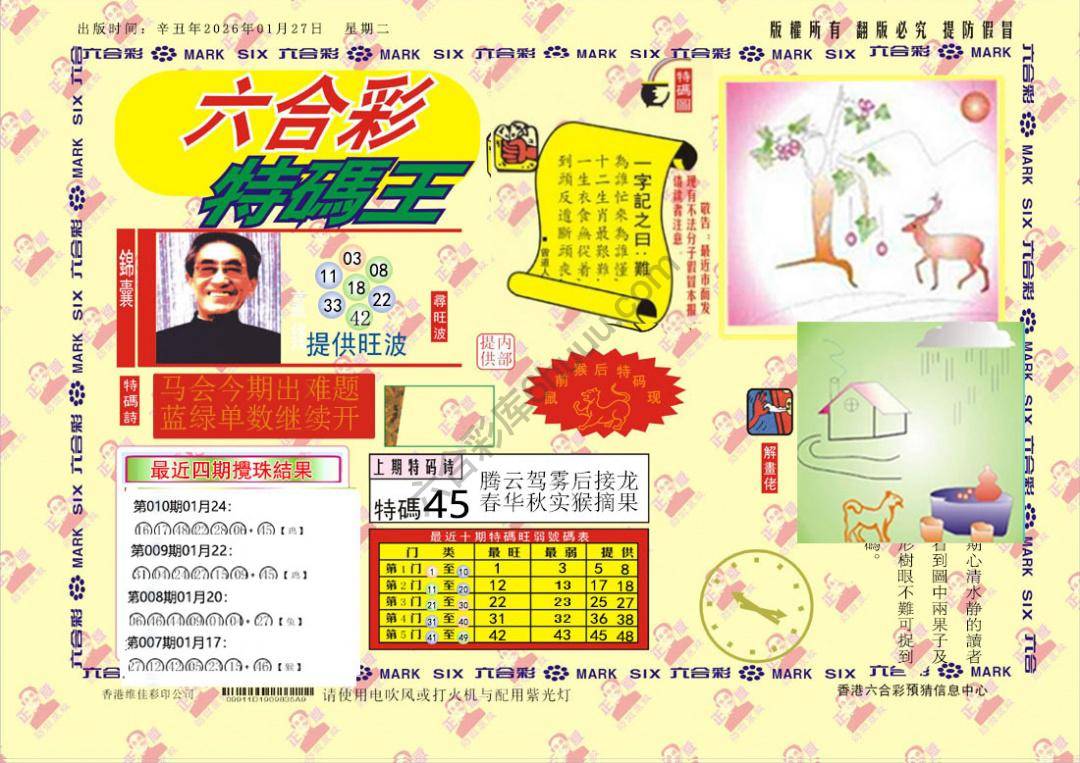 特码王