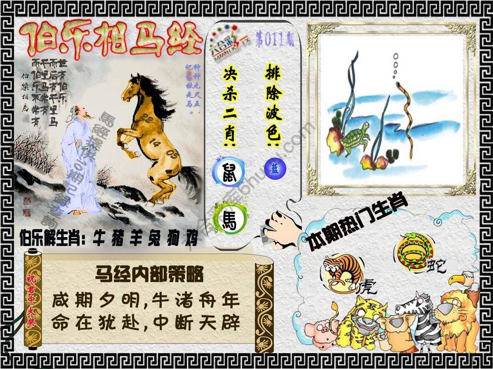 伯乐相马经