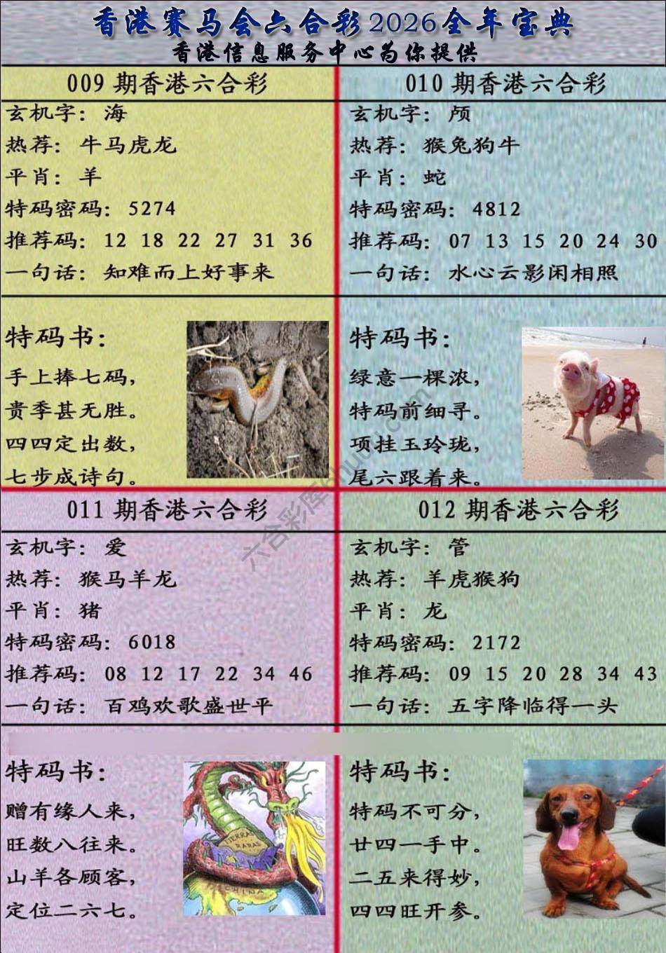 宝典报