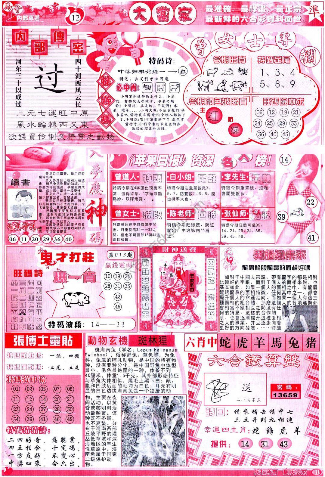 大当家