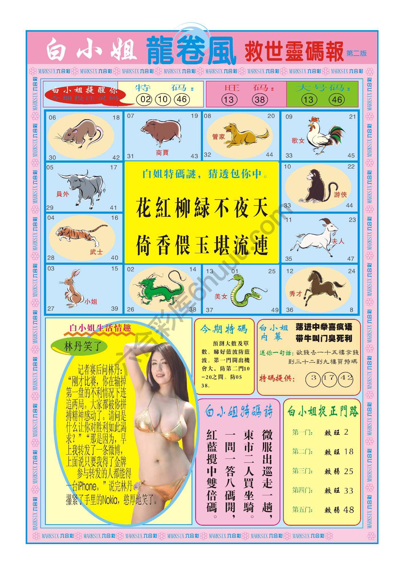 白小姐龙卷风