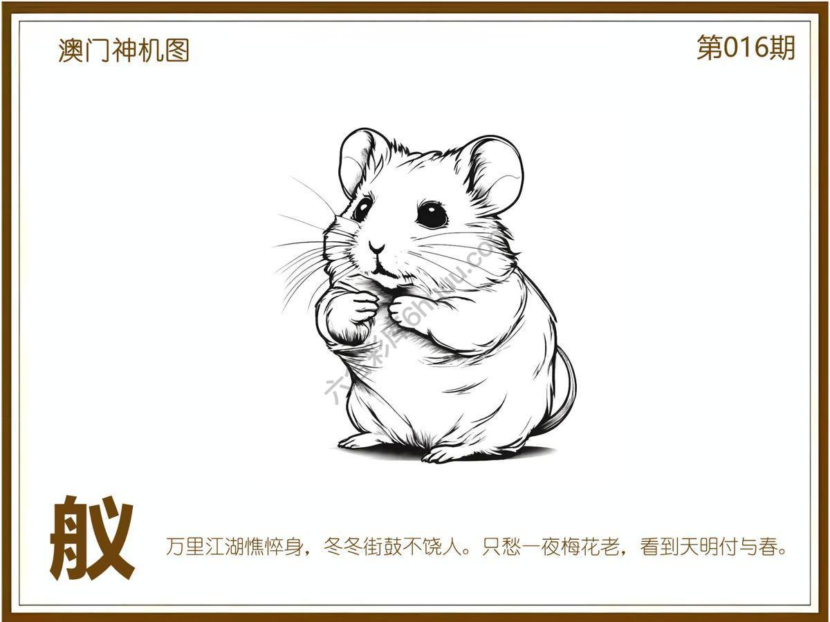 澳门神机图