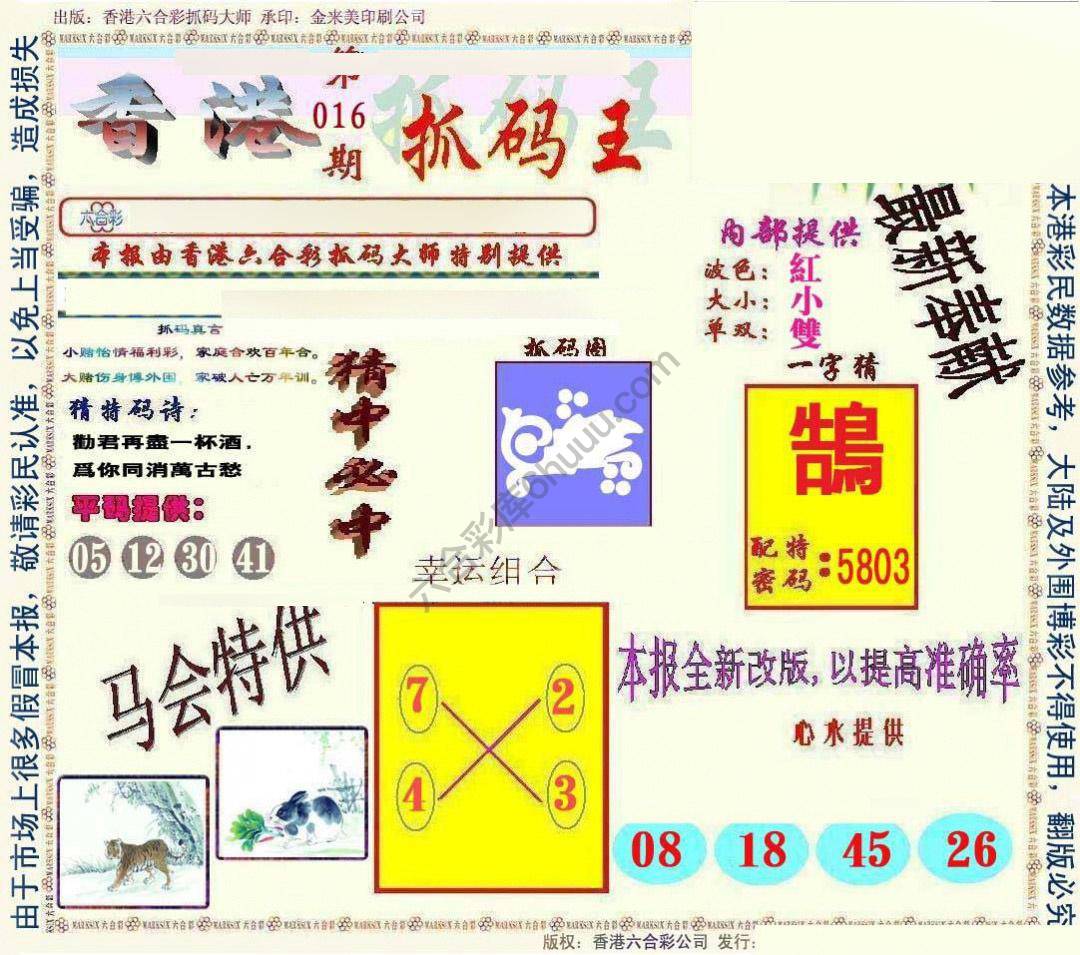新抓码王