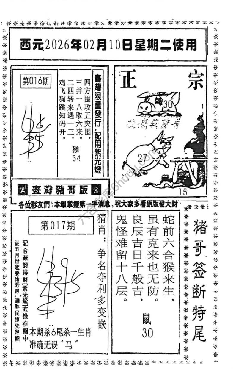 猪哥签断特尾