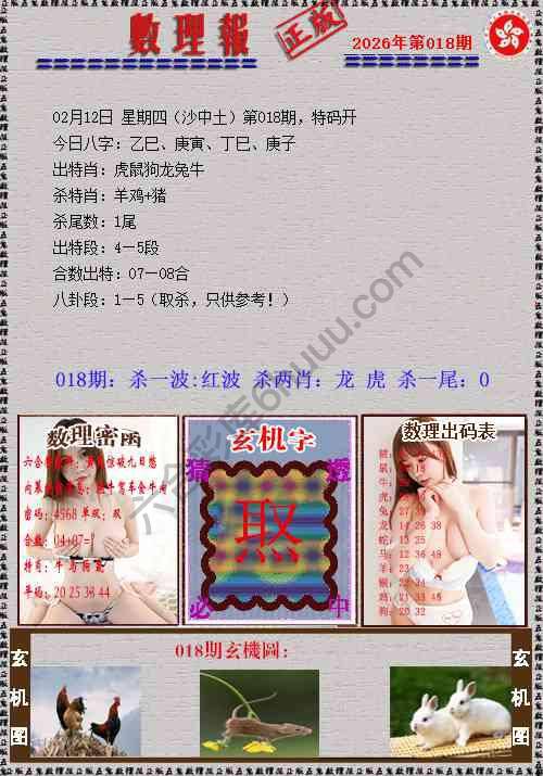 数理报