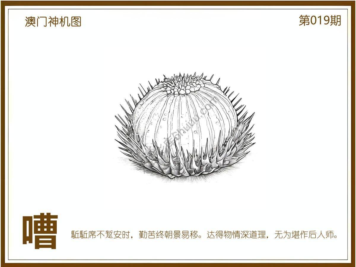 澳门神机图