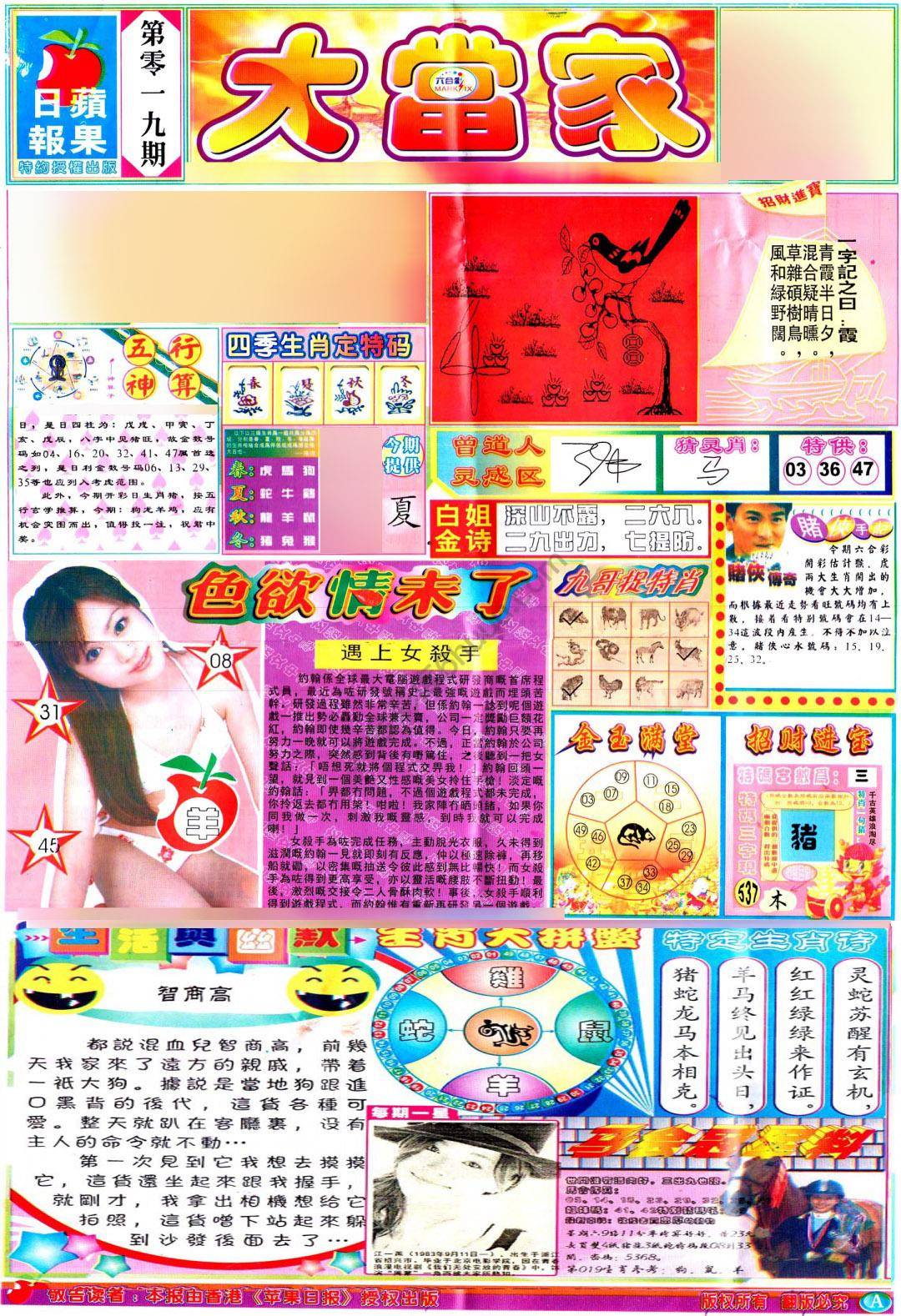大当家