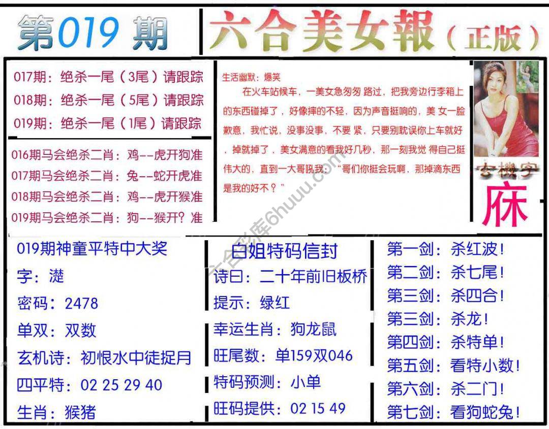 六合美女报
