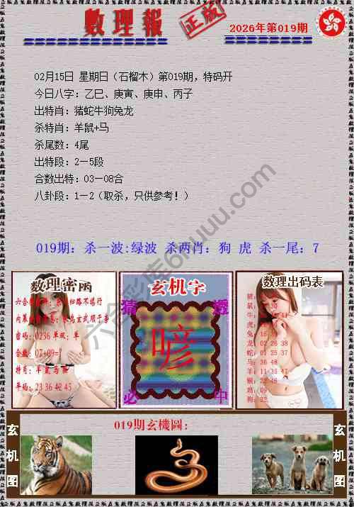 数理报