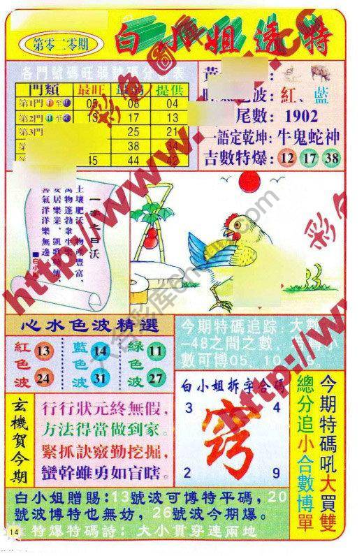 白小姐透特