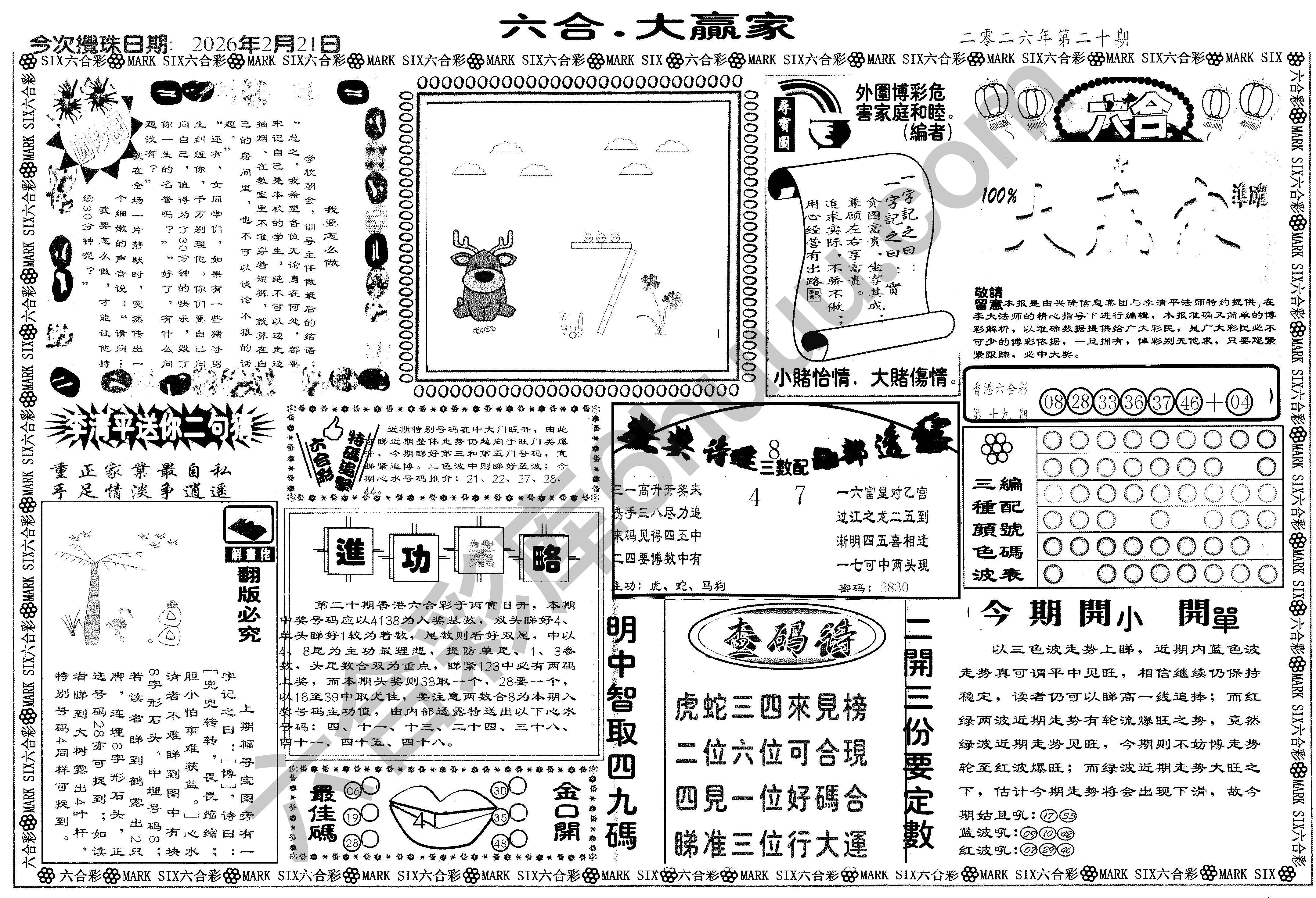 大家赢