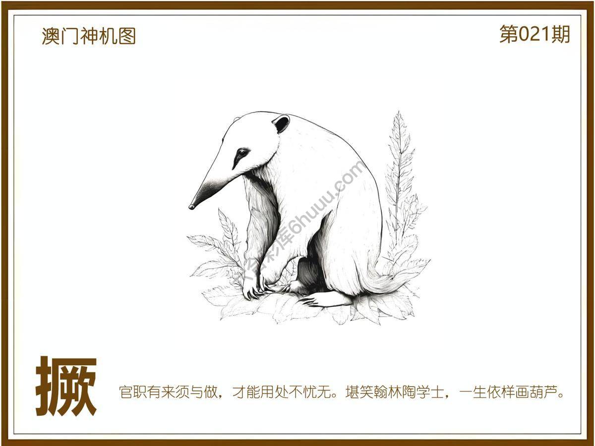 澳门神机图