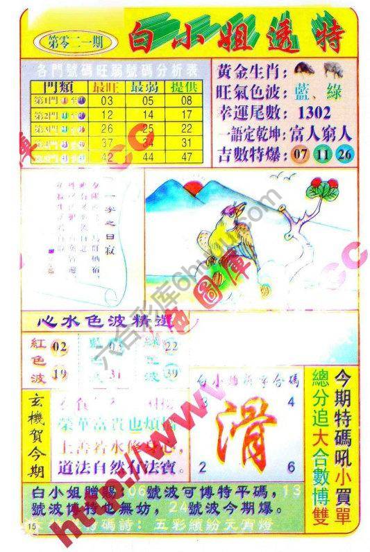 白小姐透特