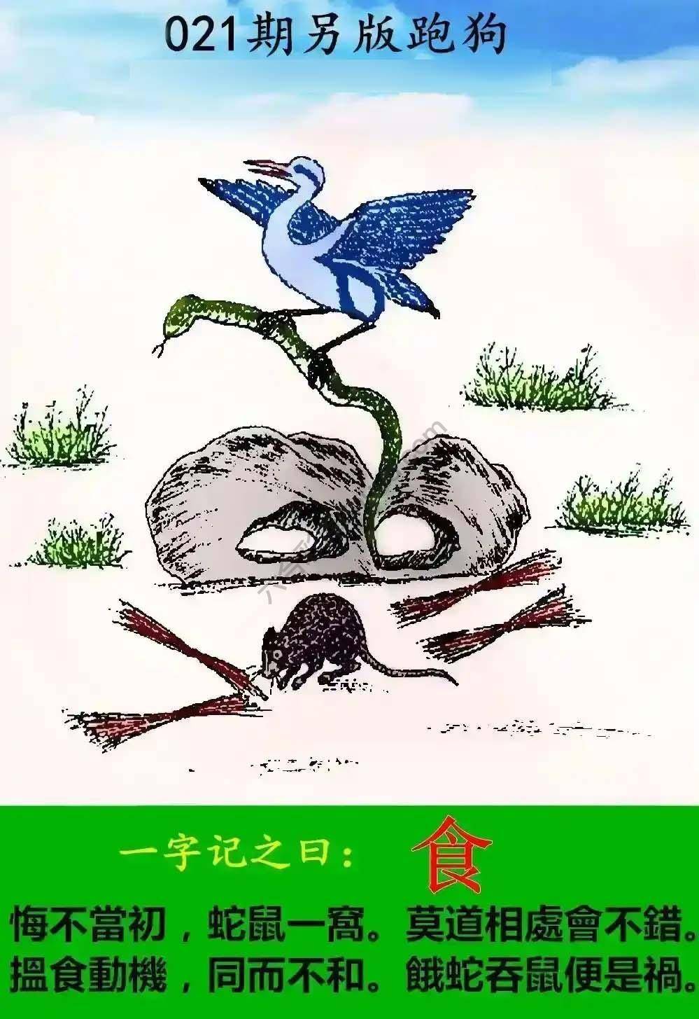 另版跑狗