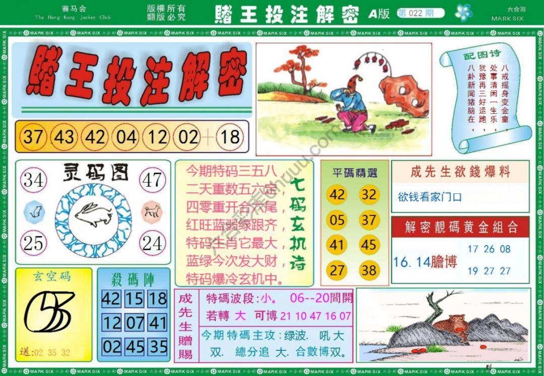 赌王投注解密