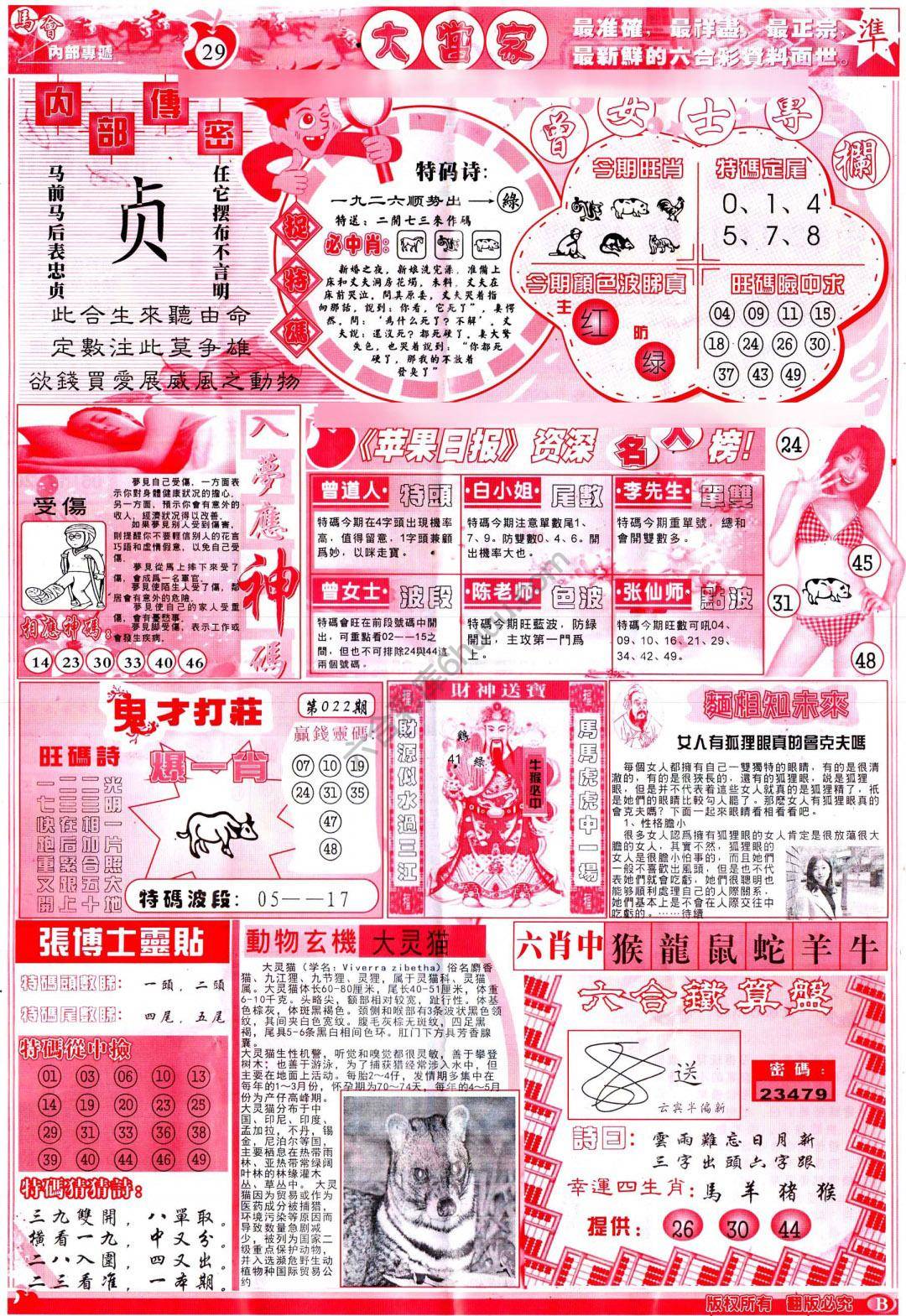 大当家