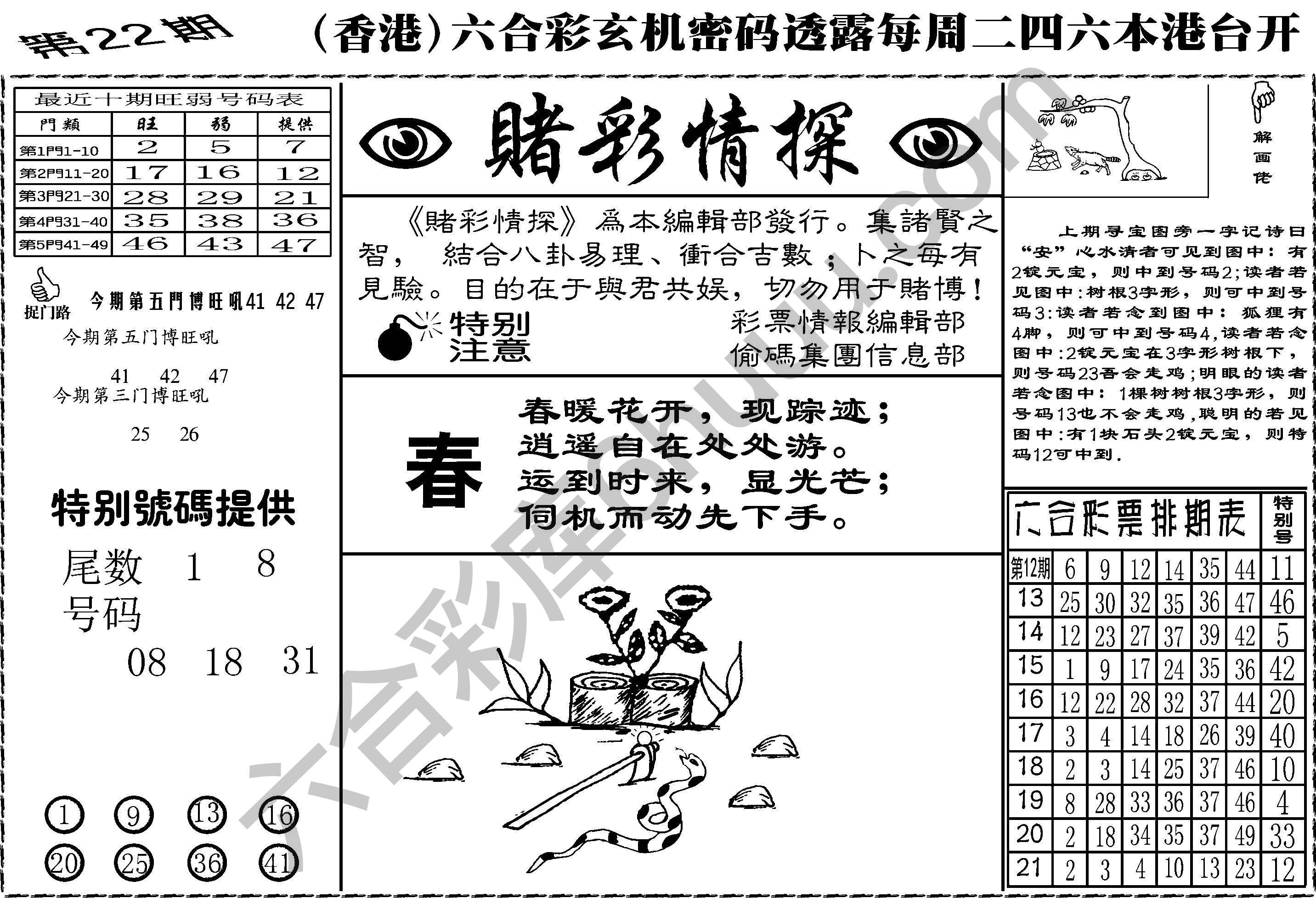 赌彩情探