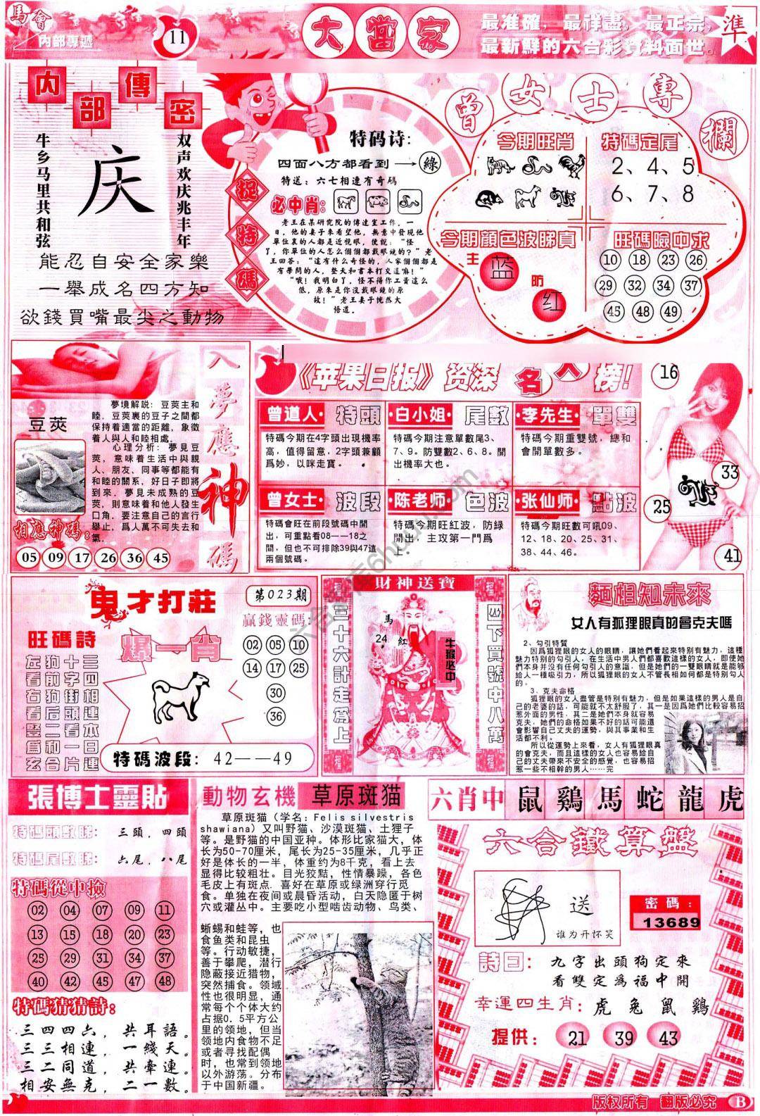 大当家