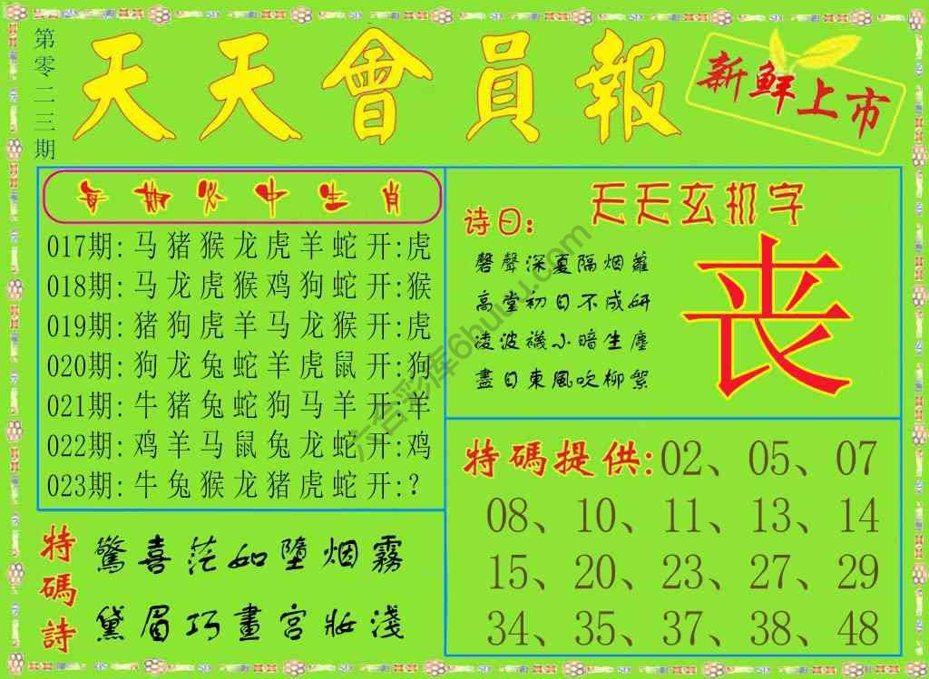 天天会员报