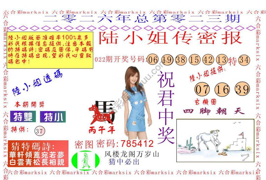 陆小姐传密