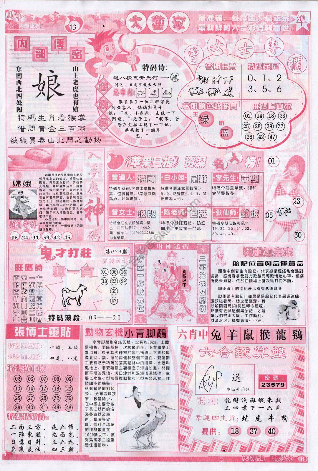 大当家