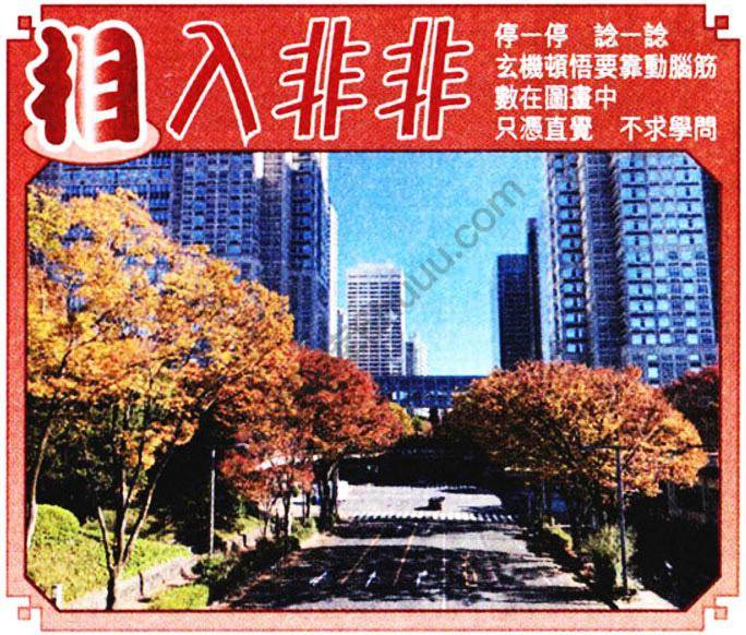 相入非非