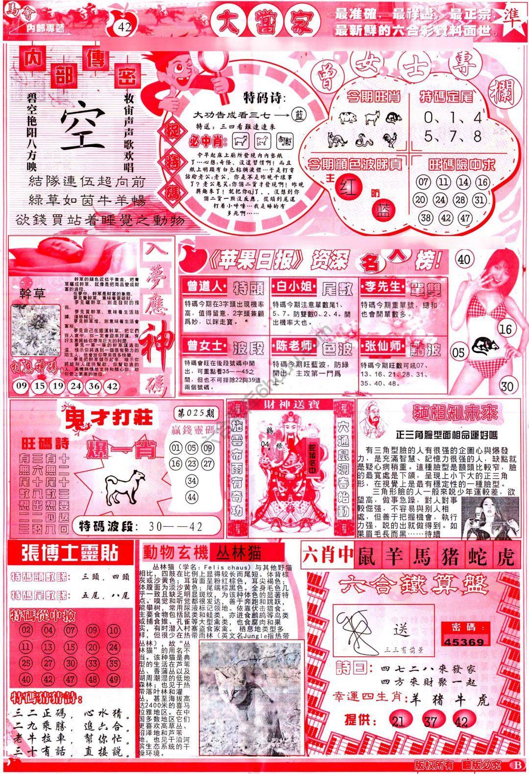 大当家