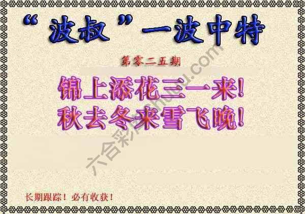 波叔一波中特