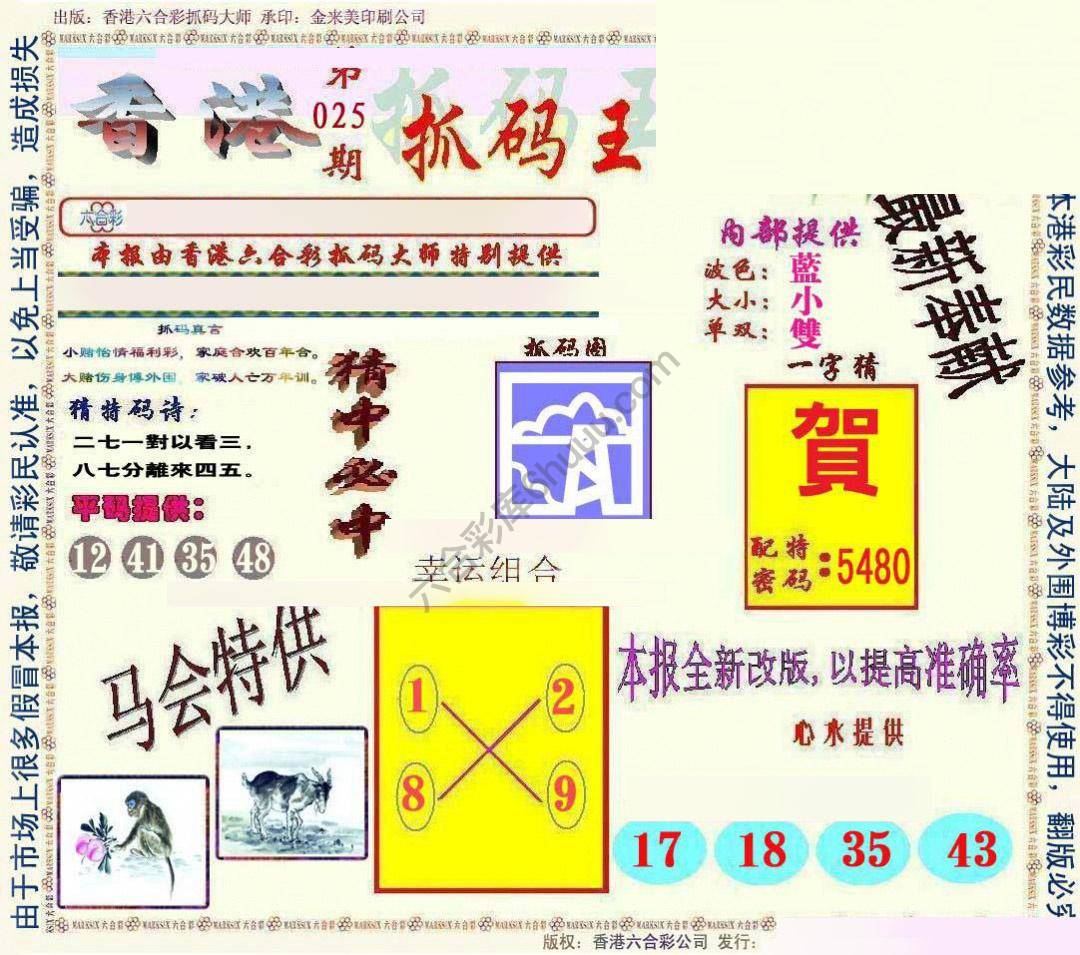 新抓码王