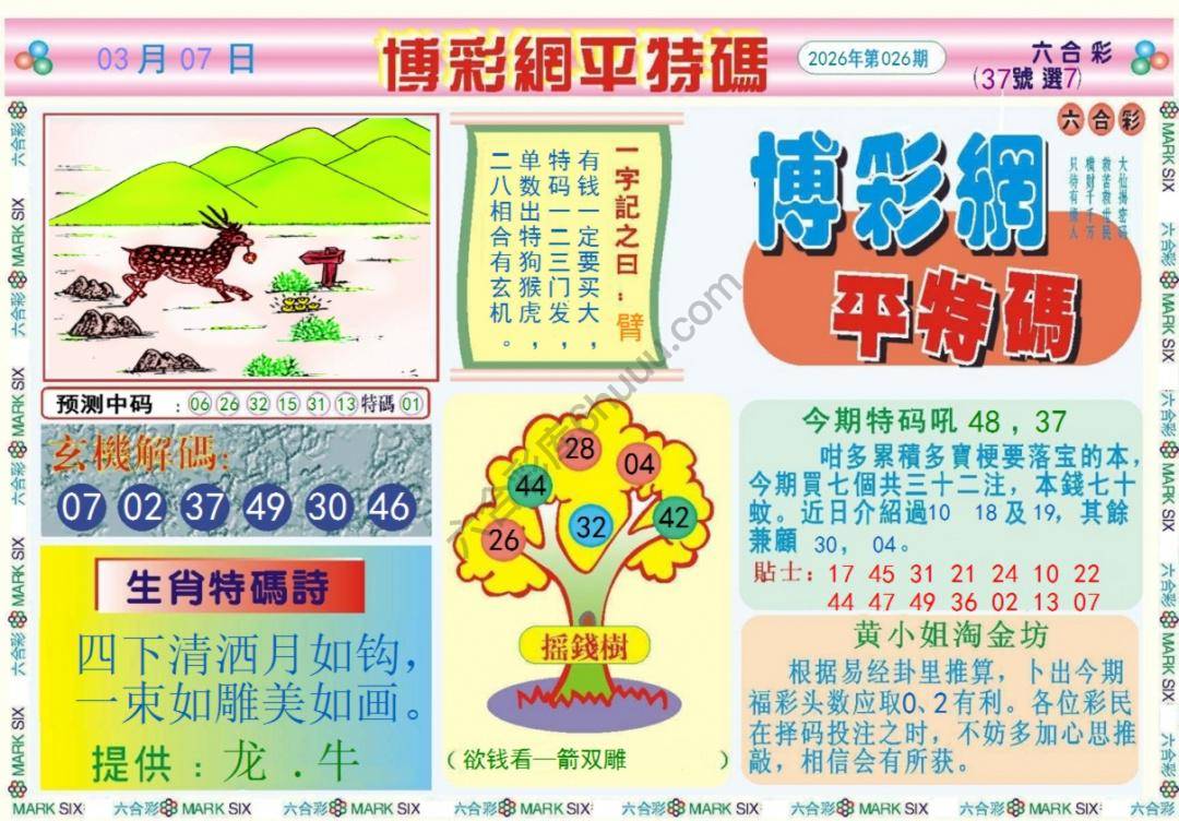 博彩网平特码