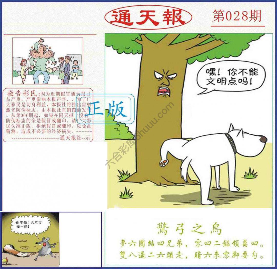 正版通天报