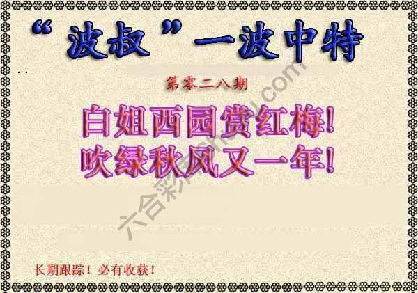 波叔一波中特