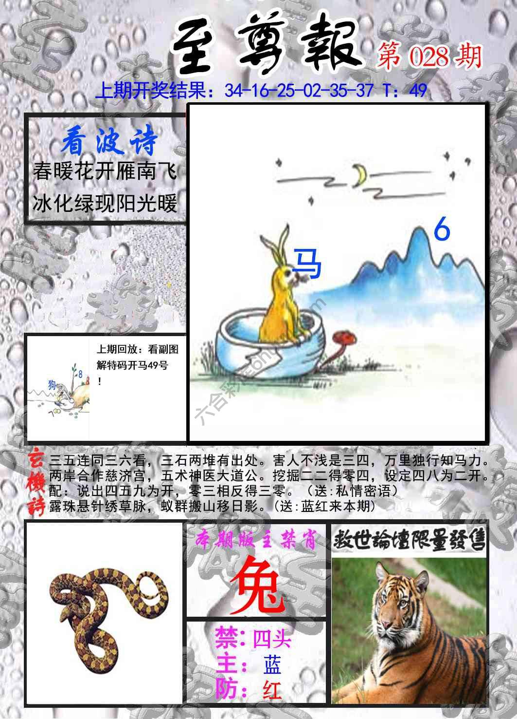 至尊报
