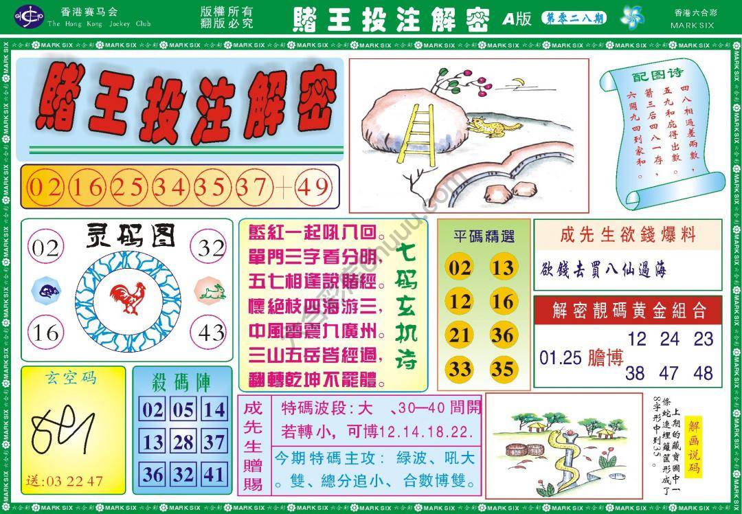 赌王投注解密
