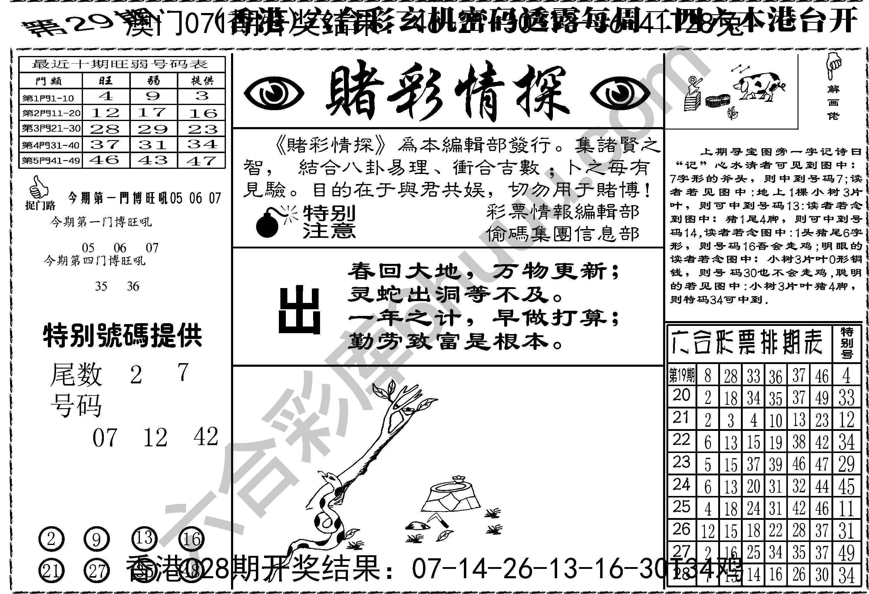 赌彩情探