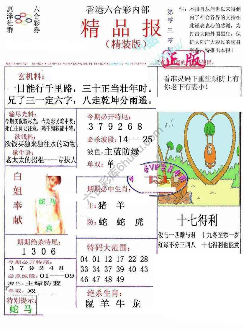 新精品报