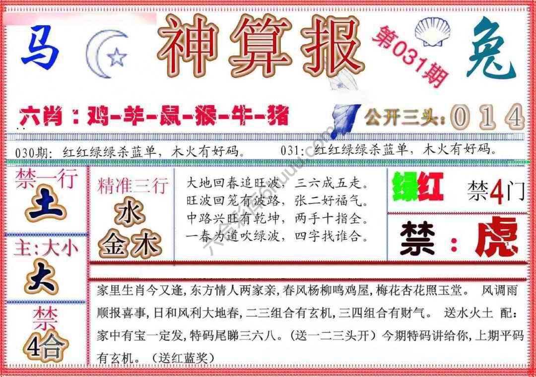 神算报新版