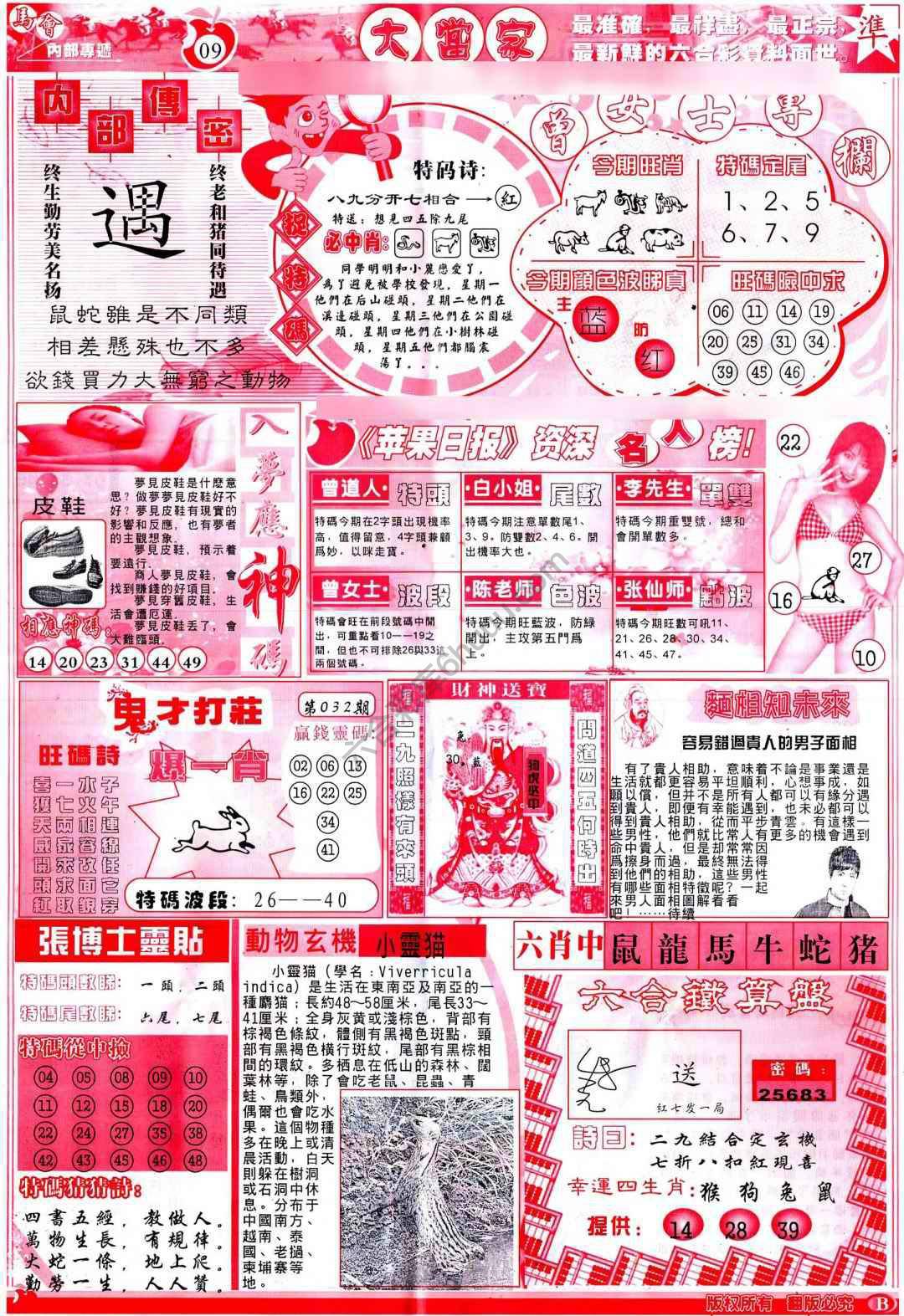 大当家