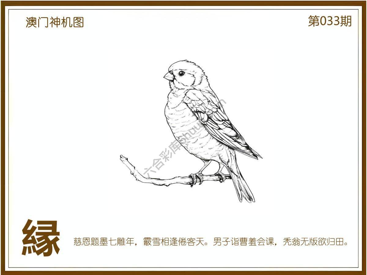 澳门神机图