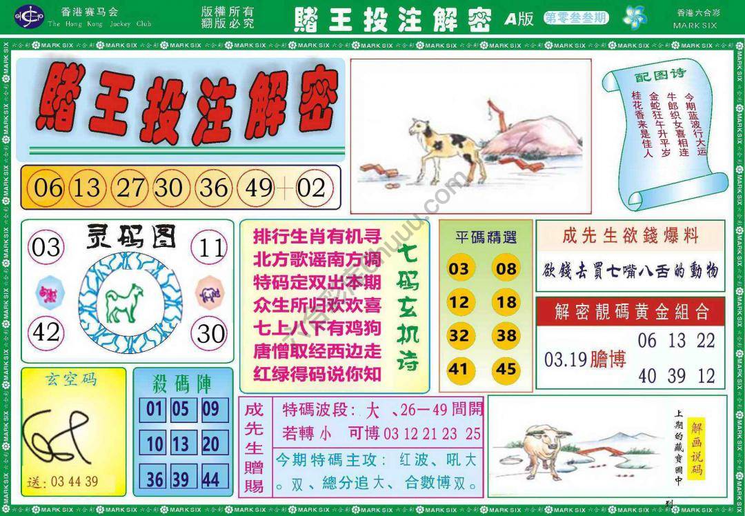 赌王投注解密