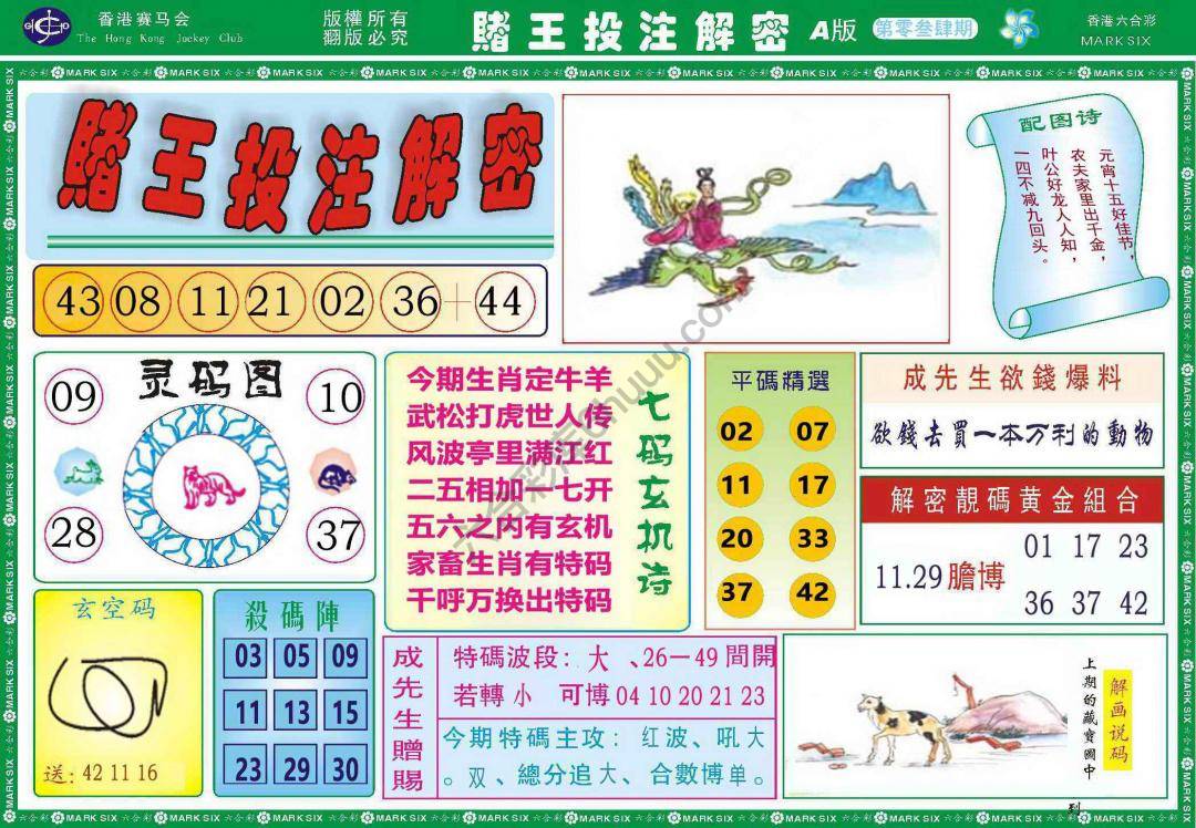 赌王投注解密