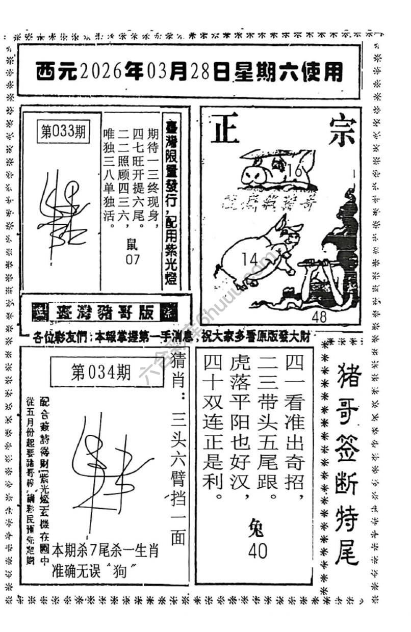 猪哥签断特尾