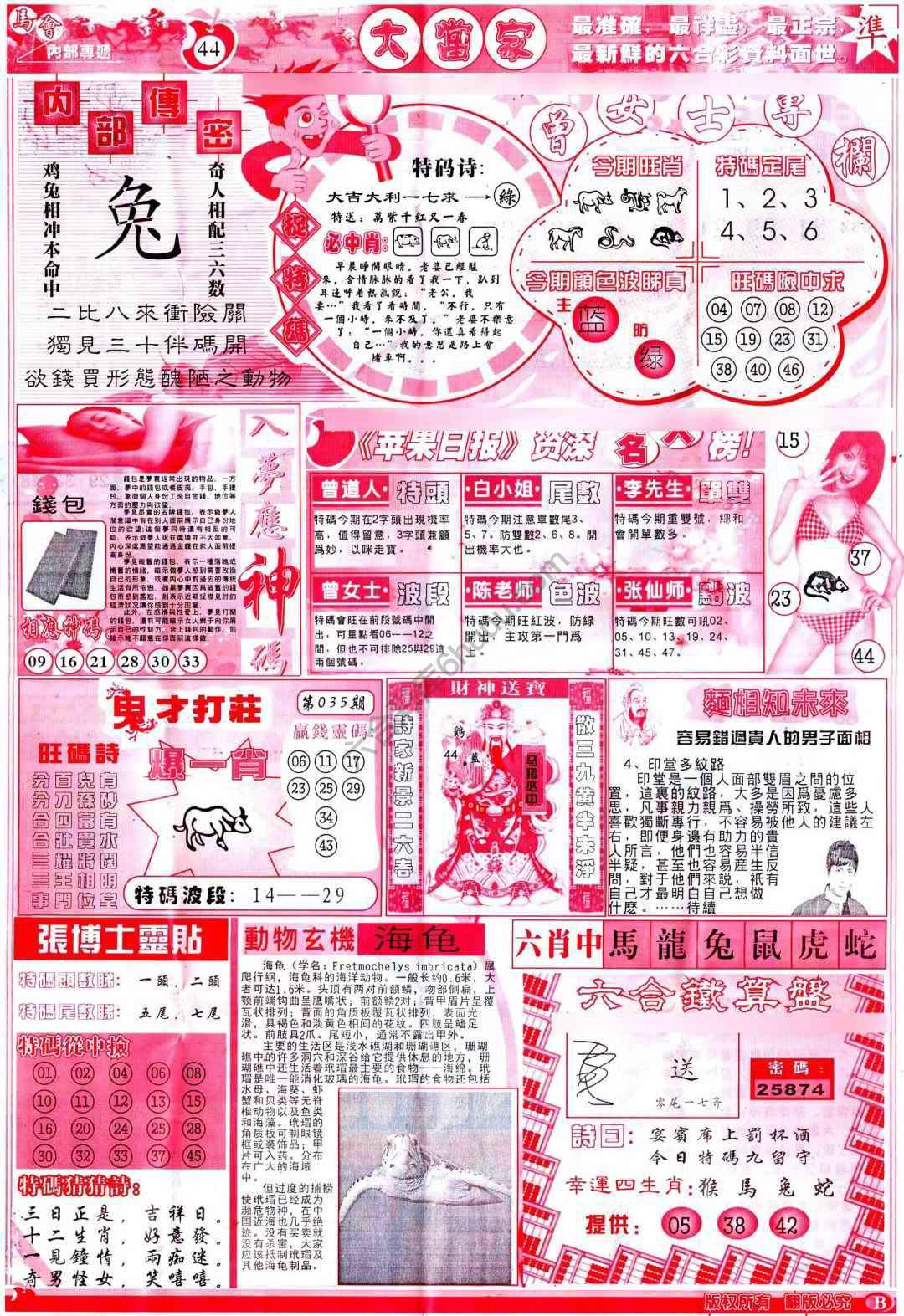 大当家