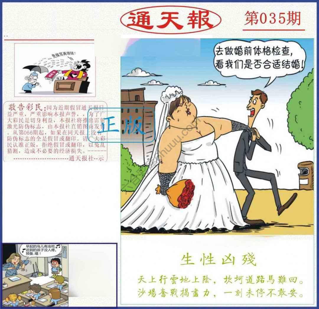 正版通天报