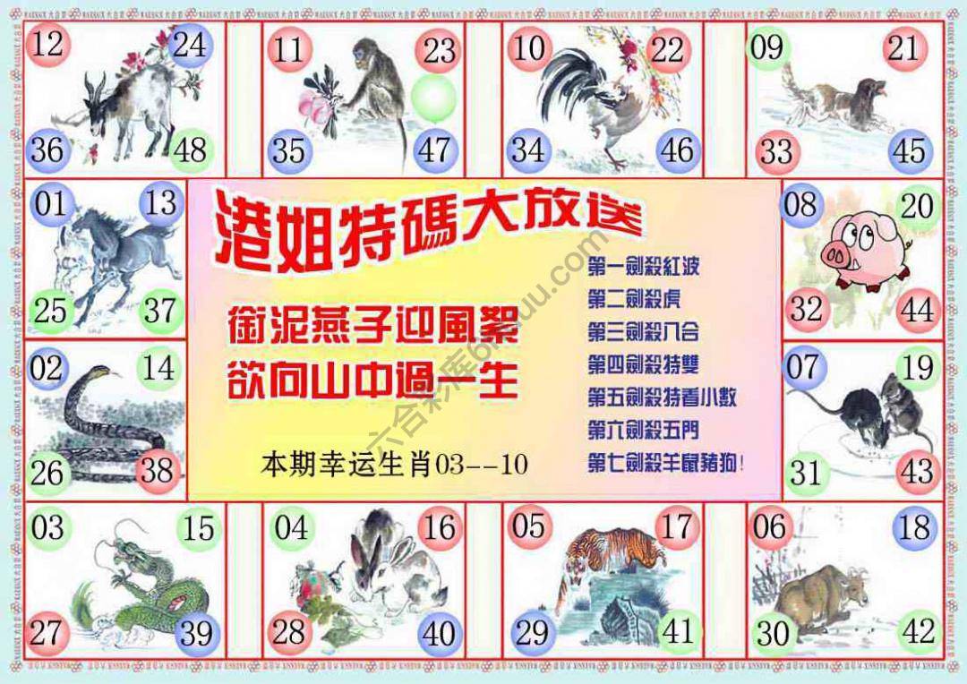 港姐密报