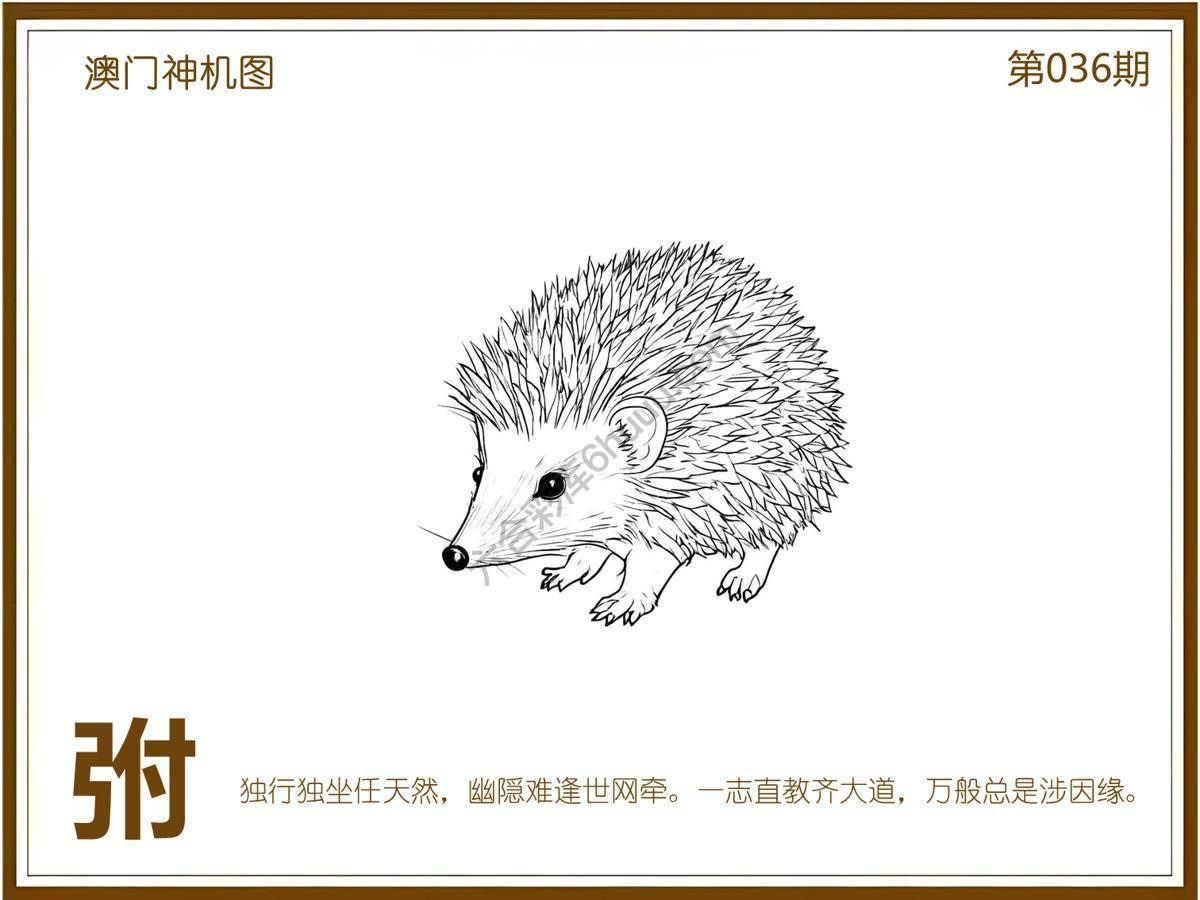 澳门神机图