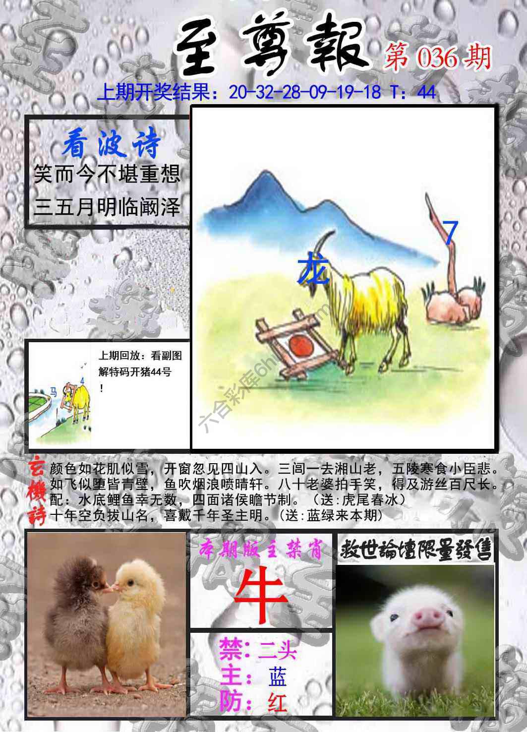 至尊报