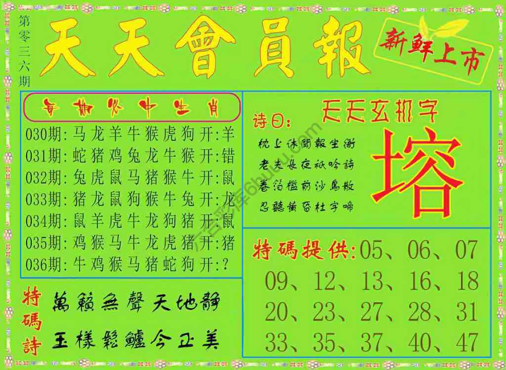 天天会员报