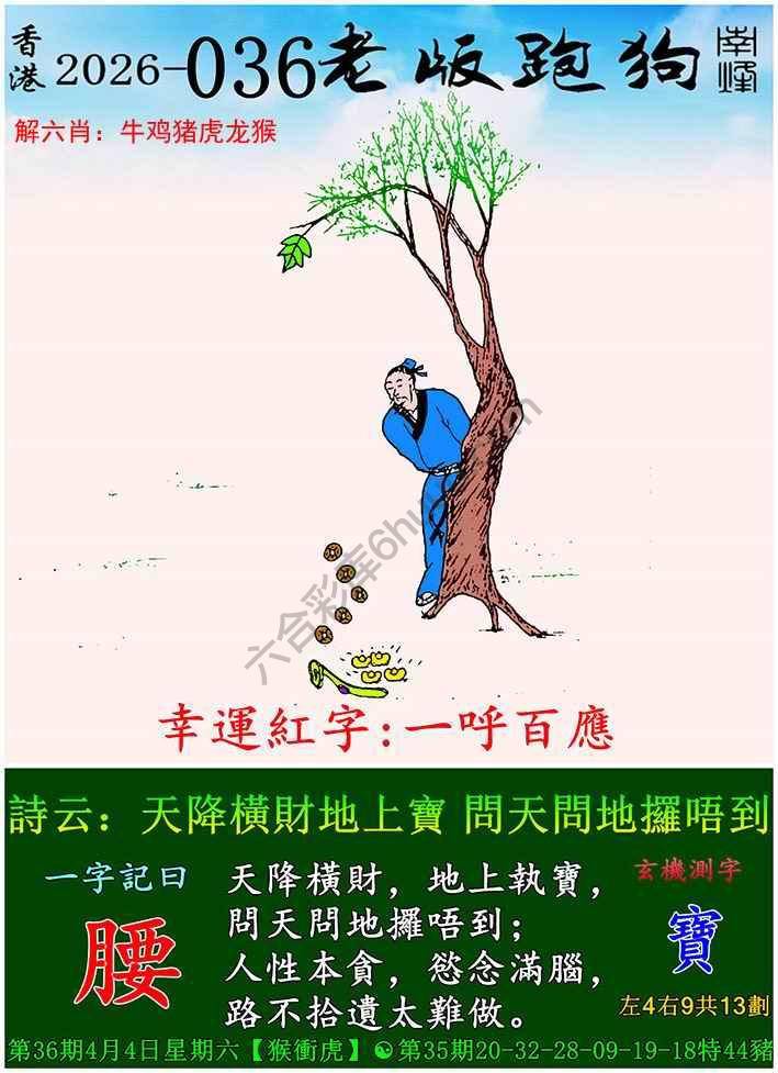 老版跑狗图