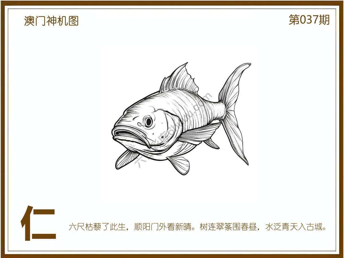澳门神机图